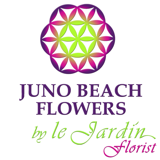 Juno Beach Flowers